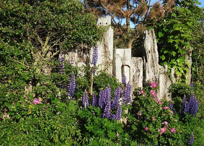Appartement Tiny House De Keet, In Natuurgebied En Vlakbij Het Callantsoog