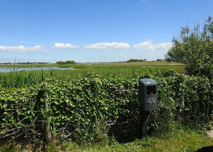 Tiny House De Keet, In Natuurgebied En Vlakbij Het Appartement