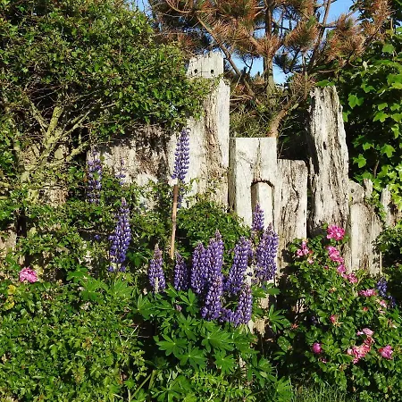 アパート Tiny House De Keet, In Natuurgebied En Vlakbij Het カラントスウオーフ
